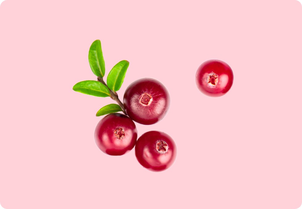 Cranberry