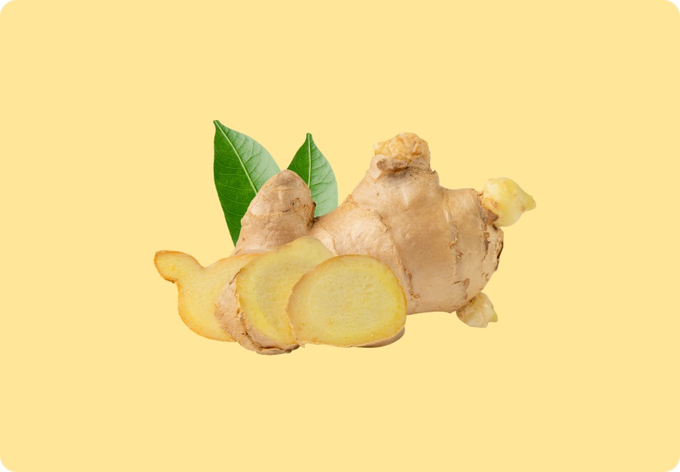 Jengibre