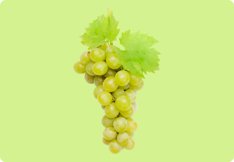 Uva blanca
