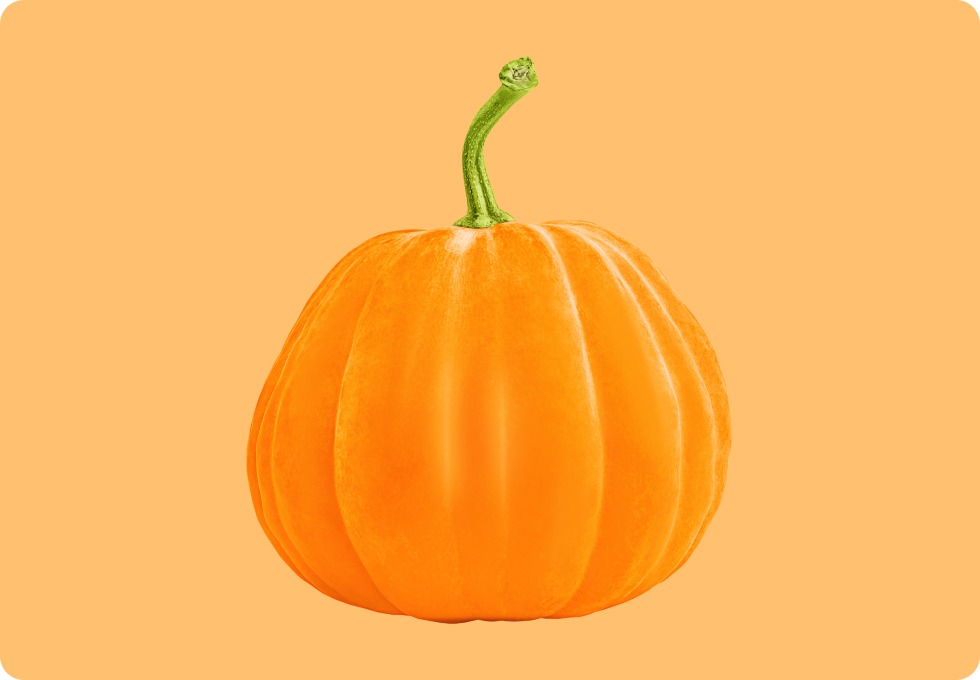 Zapallo pumpkin