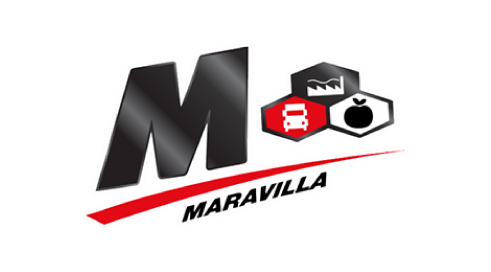 Distribuidora Maravilla